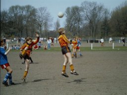 0DIA 1986 RAVA C1